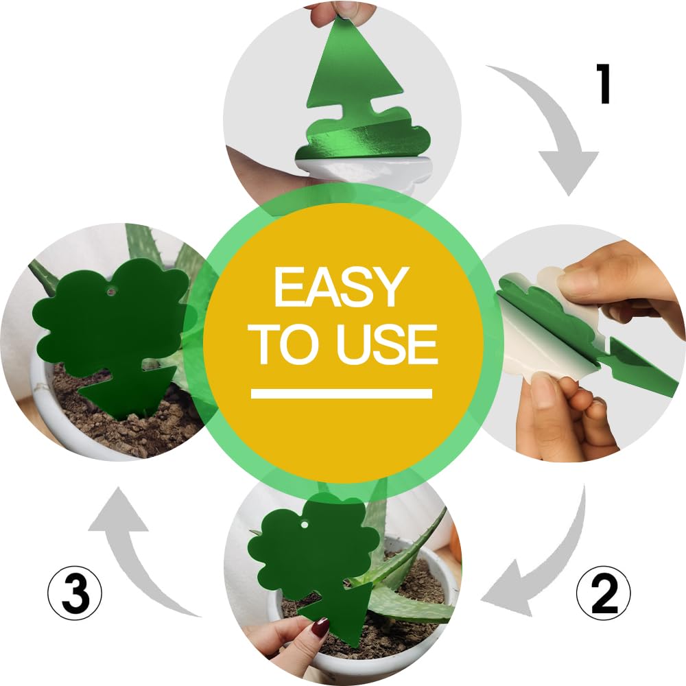 Cleanuper non-toxic odorless traps are safe around kids and pets.