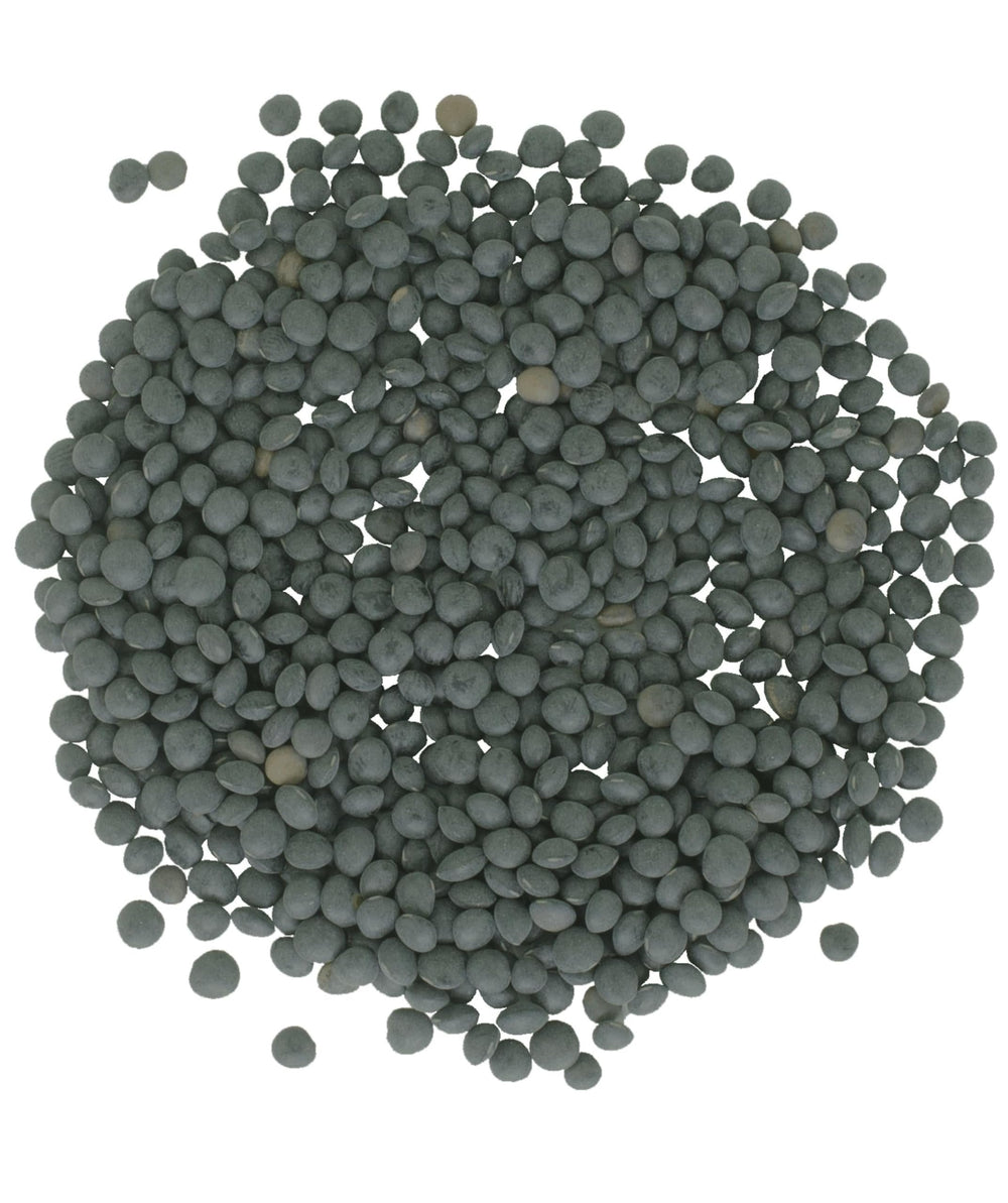 CLEAR CREEK Black Beluga lentils, cooked, fluffy and protein-rich for meals.