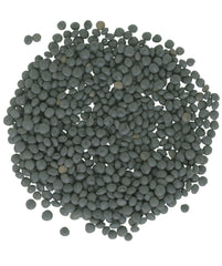 CLEAR CREEK Black Beluga lentils, cooked, fluffy and protein-rich for meals.