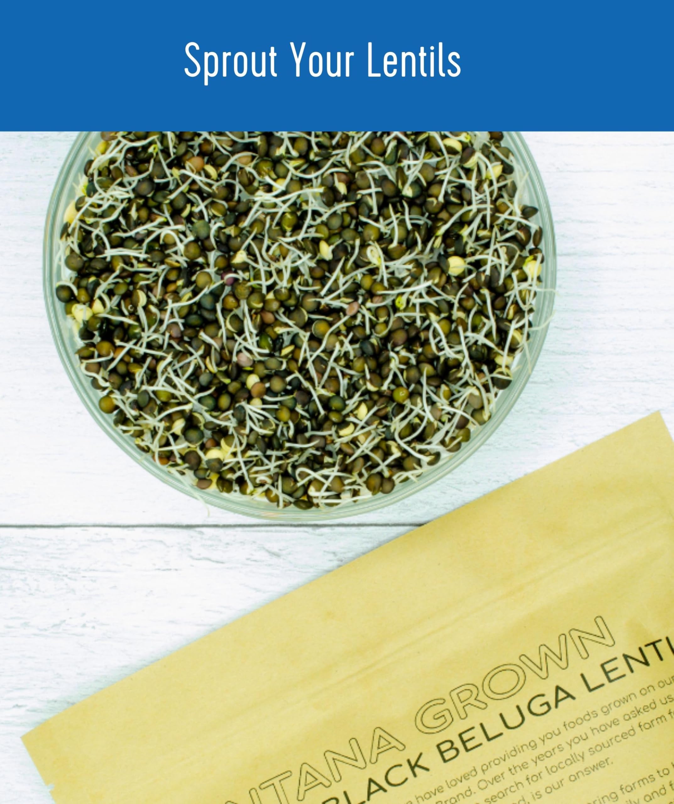 CLEAR CREEK vegan lentils, plant-based protein for everyday meals.