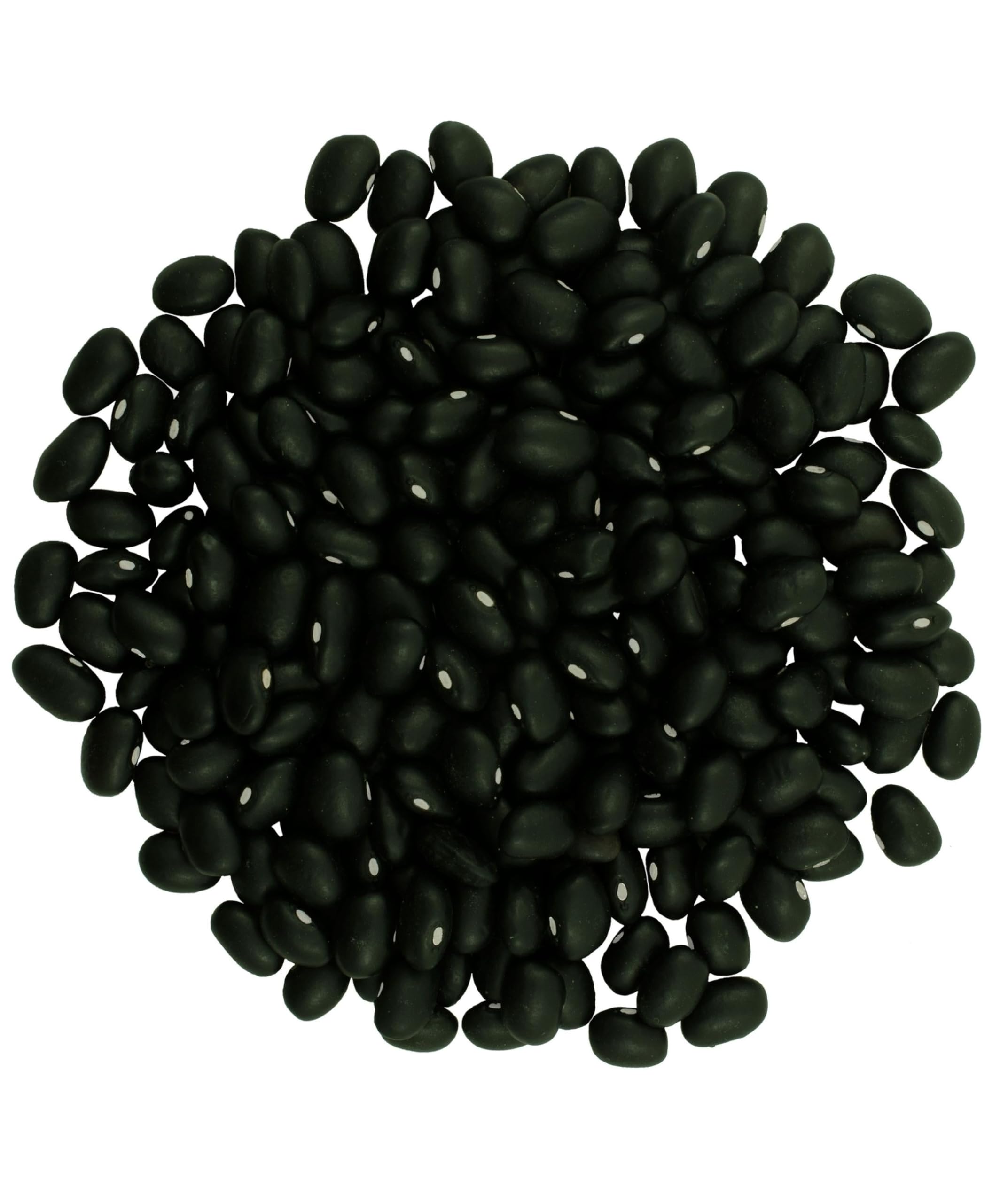 Clear Creek Washington State black beans in a bowl, ideal for hearty bowls.