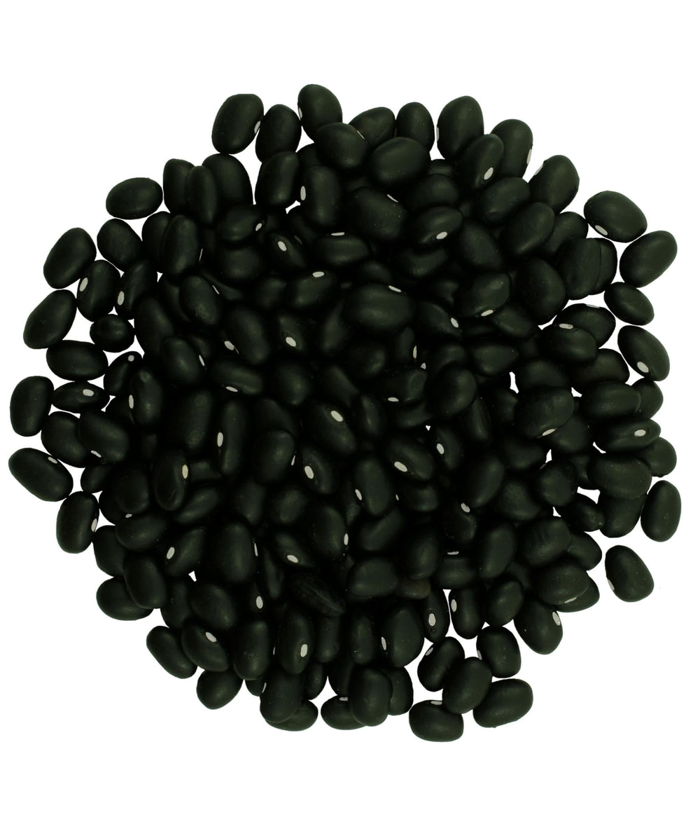 Clear Creek Washington State black beans in a bowl, ideal for hearty bowls.