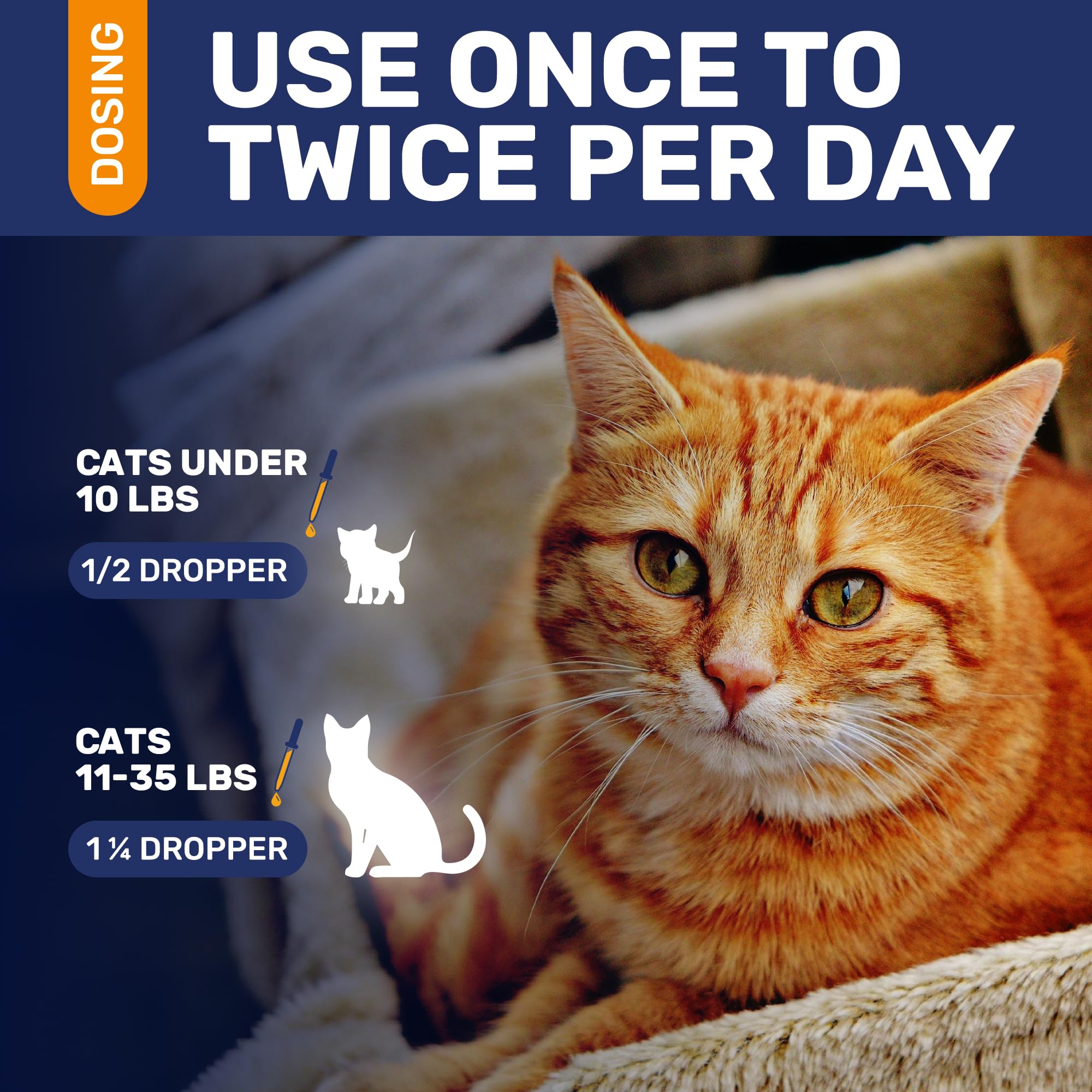 Adapté à tous âges et races: gouttes Clear Max pour chats.