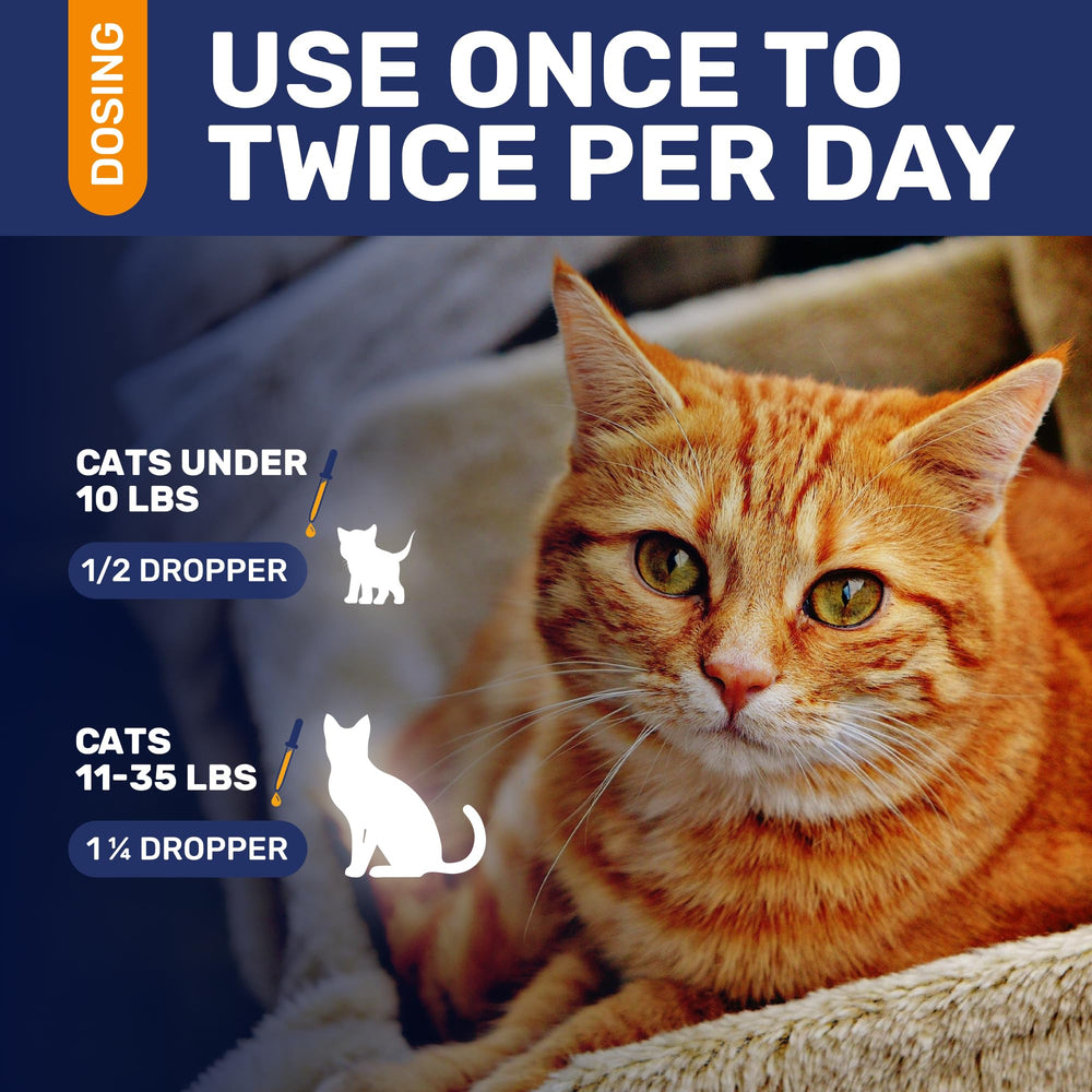 Adapté à tous âges et races: gouttes Clear Max pour chats.