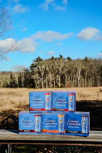 Clearly Canadian Wild Cherry can side view ideal for on-the-go hydration