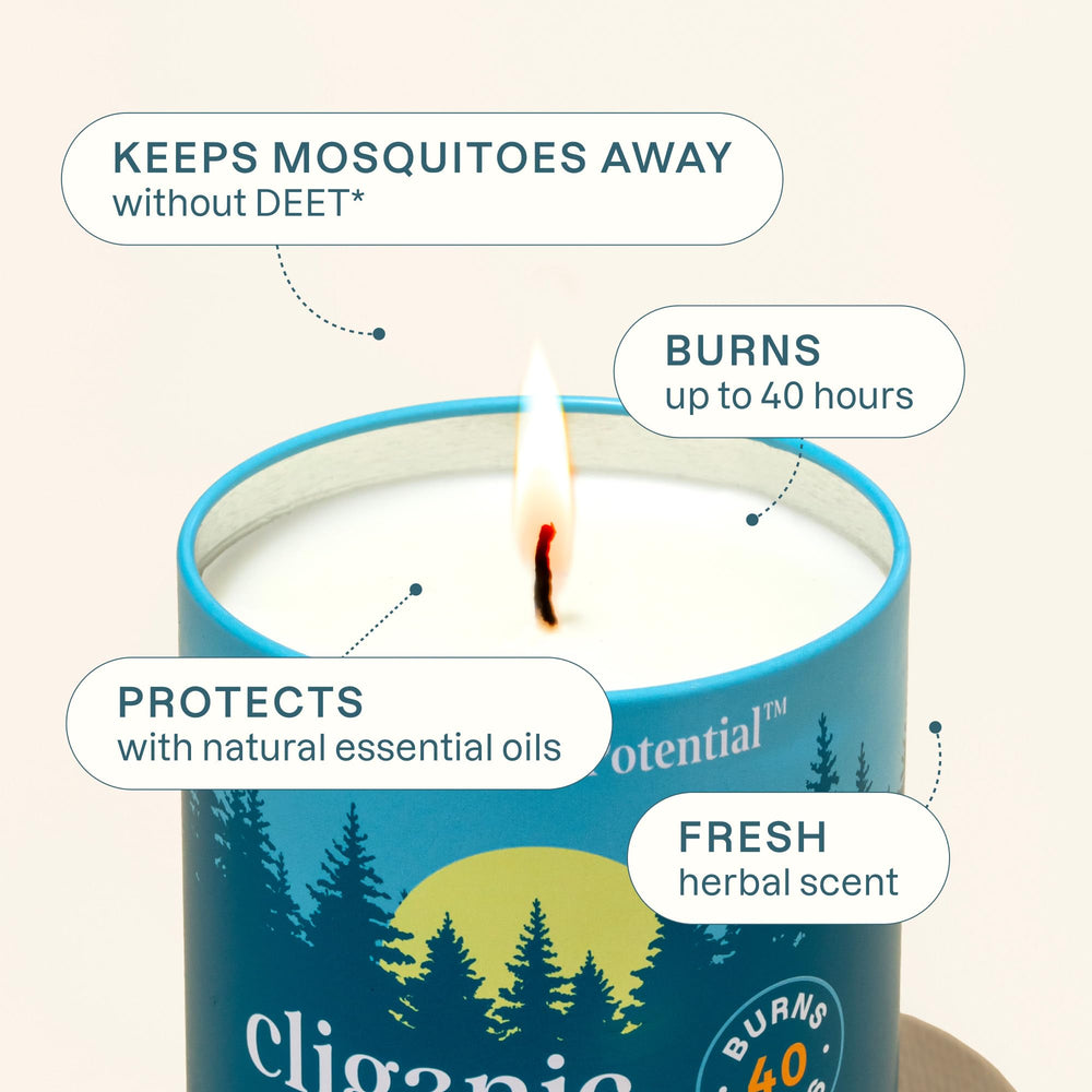 Cliganic Mosquito Repellent Candle with essential oils delivering natural fragrance.