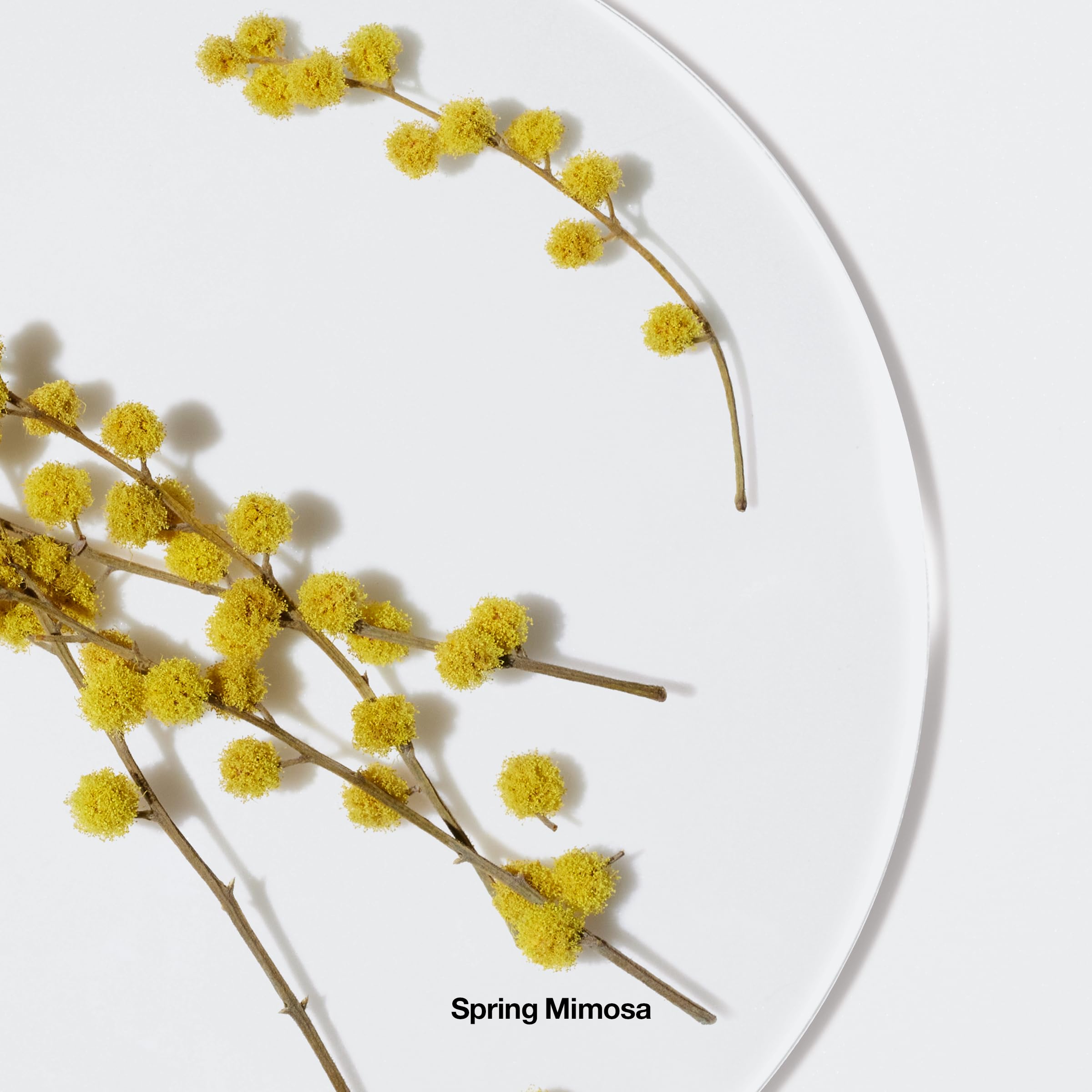 Clinique Happy Body Spritz label detail emphasizing refined branding