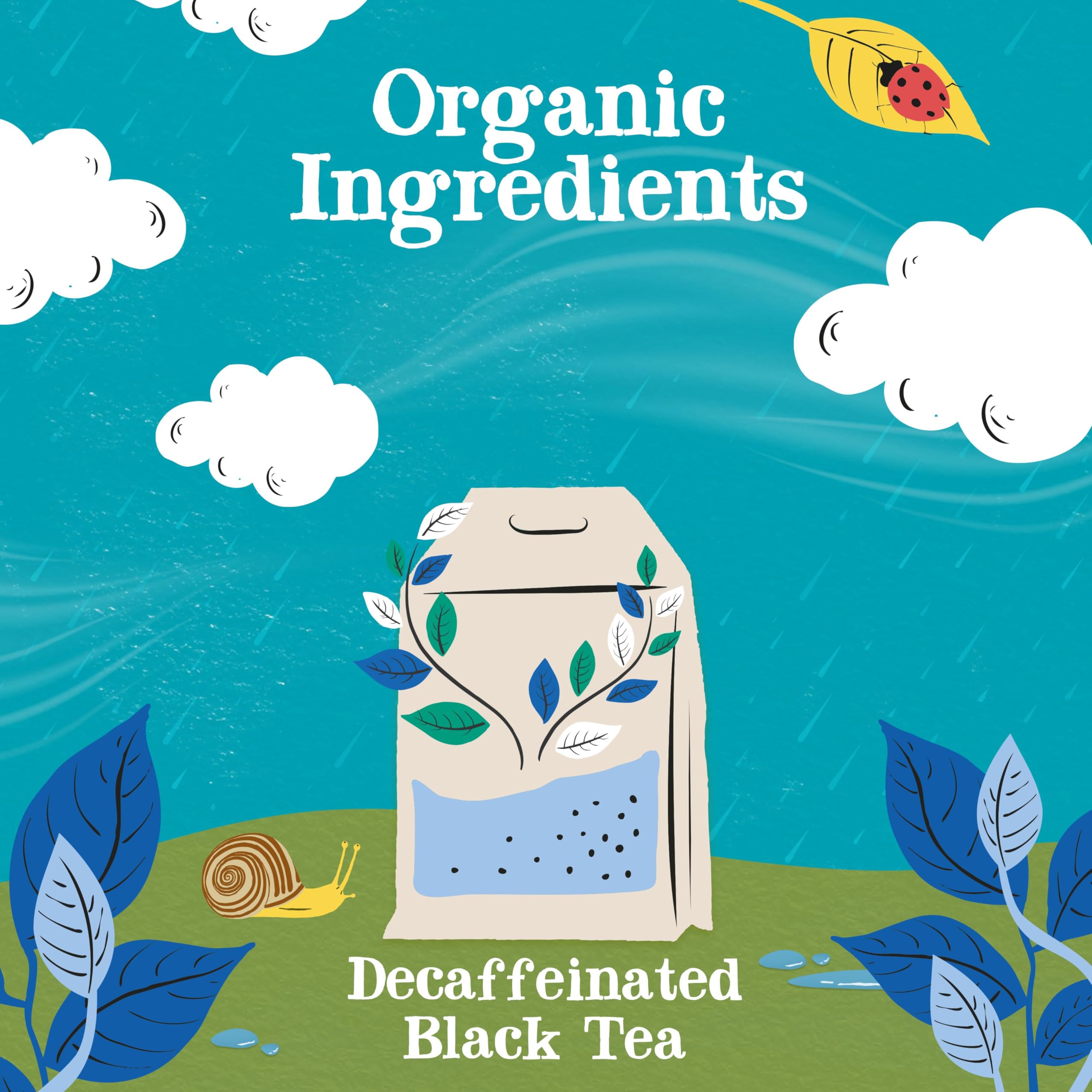 Clipper Tea label close-up showcasing organic, plant-based decaf quality.