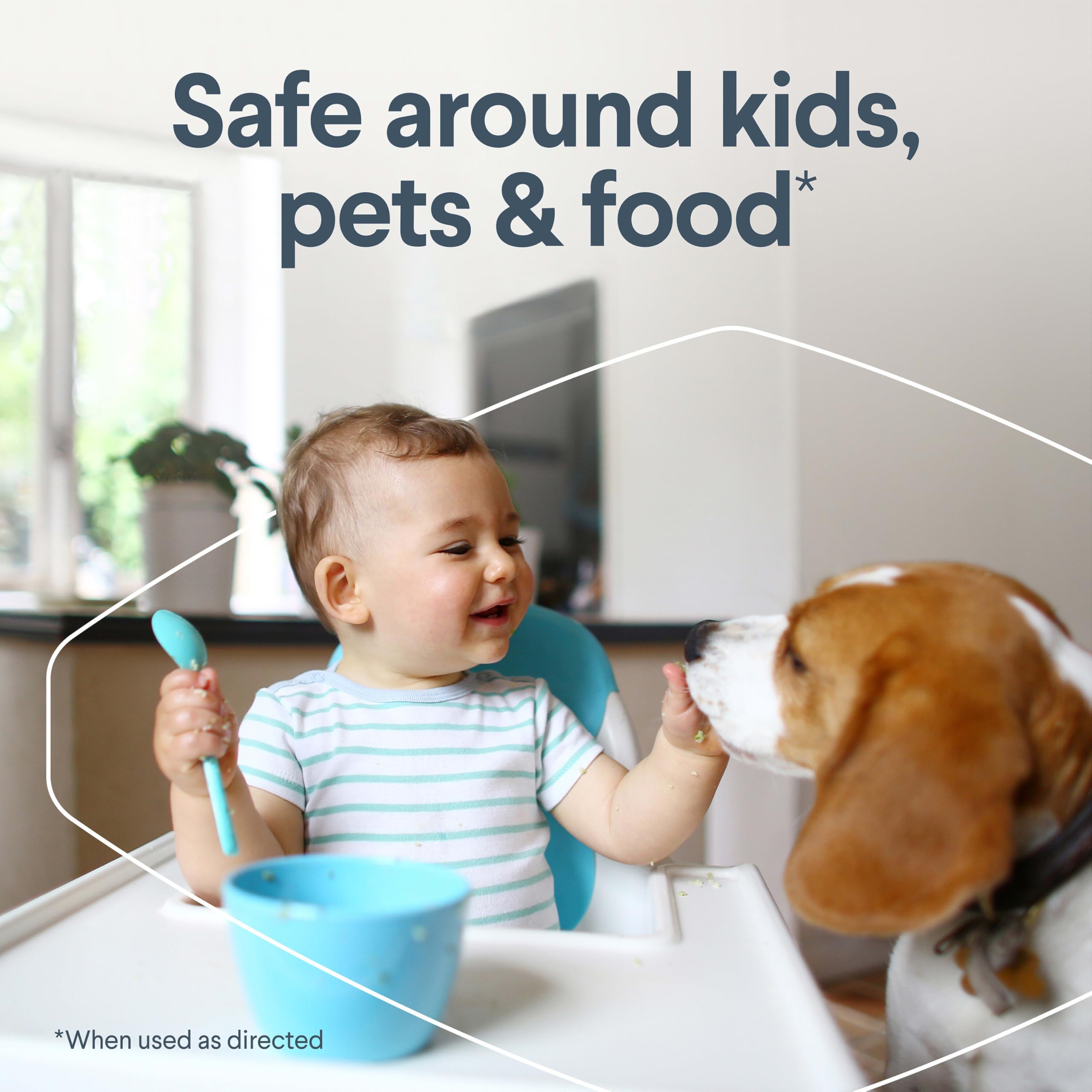 Clorox Free & Clear fragrance-free formula highlights safe, family-friendly cleaning.