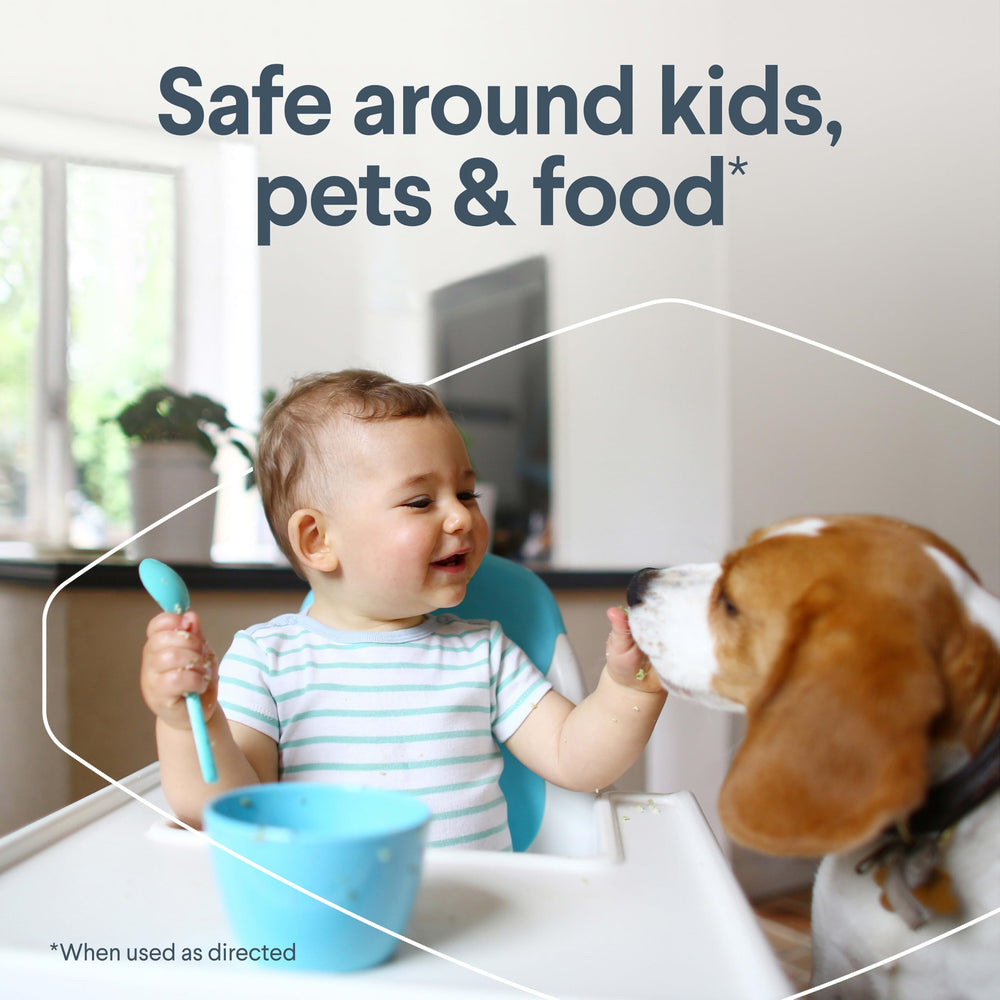 Clorox Free & Clear fragrance-free formula highlights safe, family-friendly cleaning.