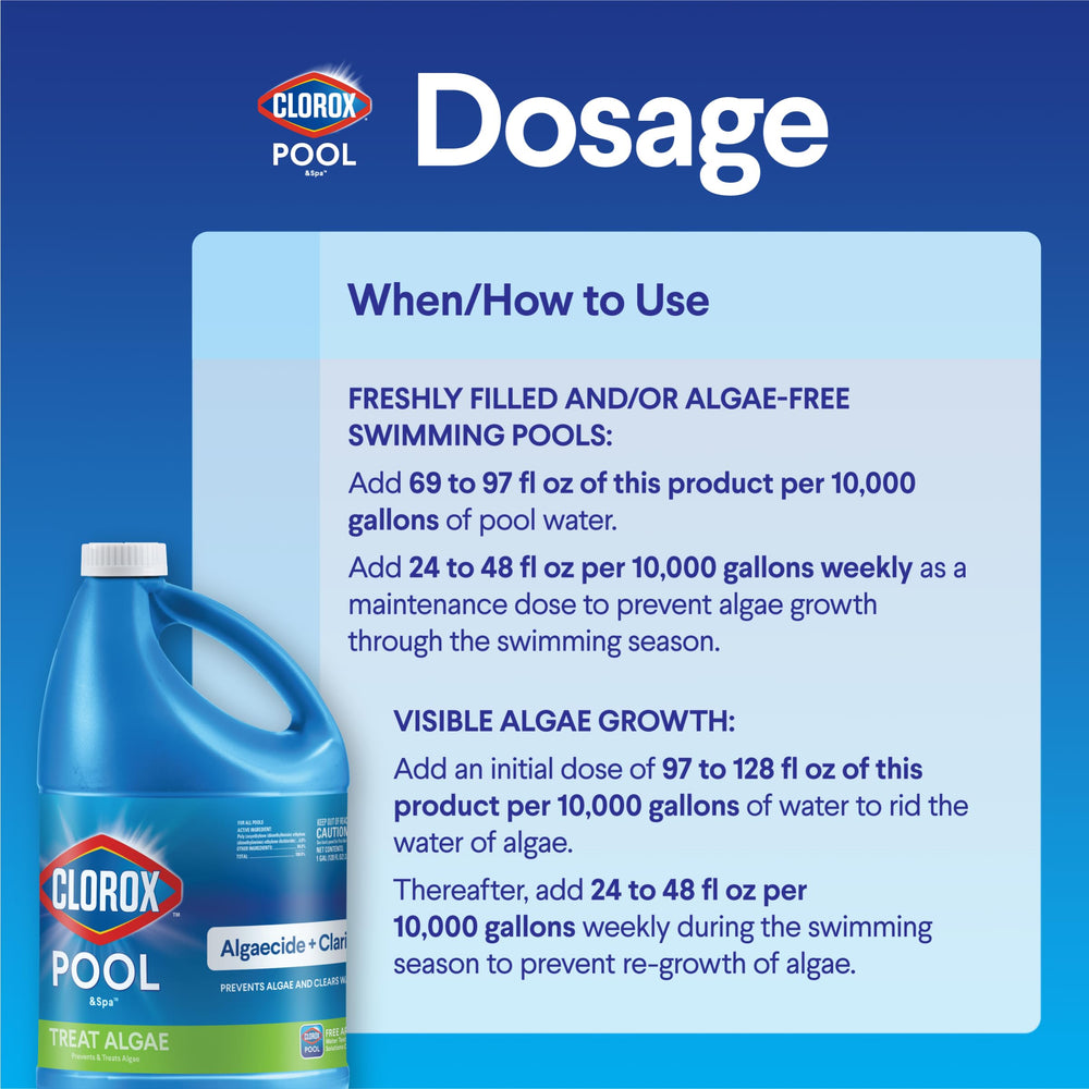 Algae growth visible before treatment in pool water