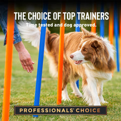 Cloud Star Tricky Trainers training session image shows a dog rewarded.