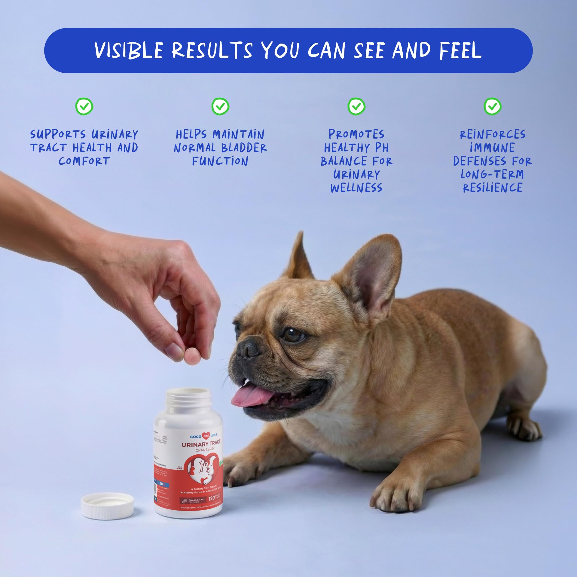 Coco and Luna cranberry dog supplement tablets close-up showing chewable form