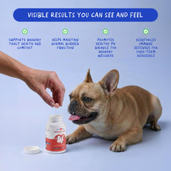 Coco and Luna cranberry dog supplement tablets close-up showing chewable form