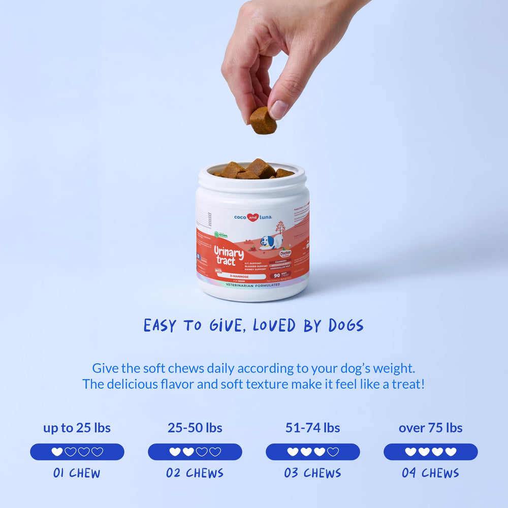 Coco and Luna Cranberry soft chews in a bowl, everyday use for bladder health awareness.