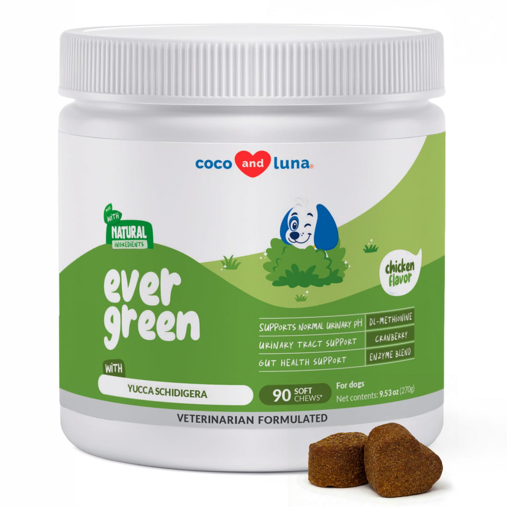 Coco and Luna Grass Burn Spot Soft Chews bottle on a lawn, supporting a greener yard.