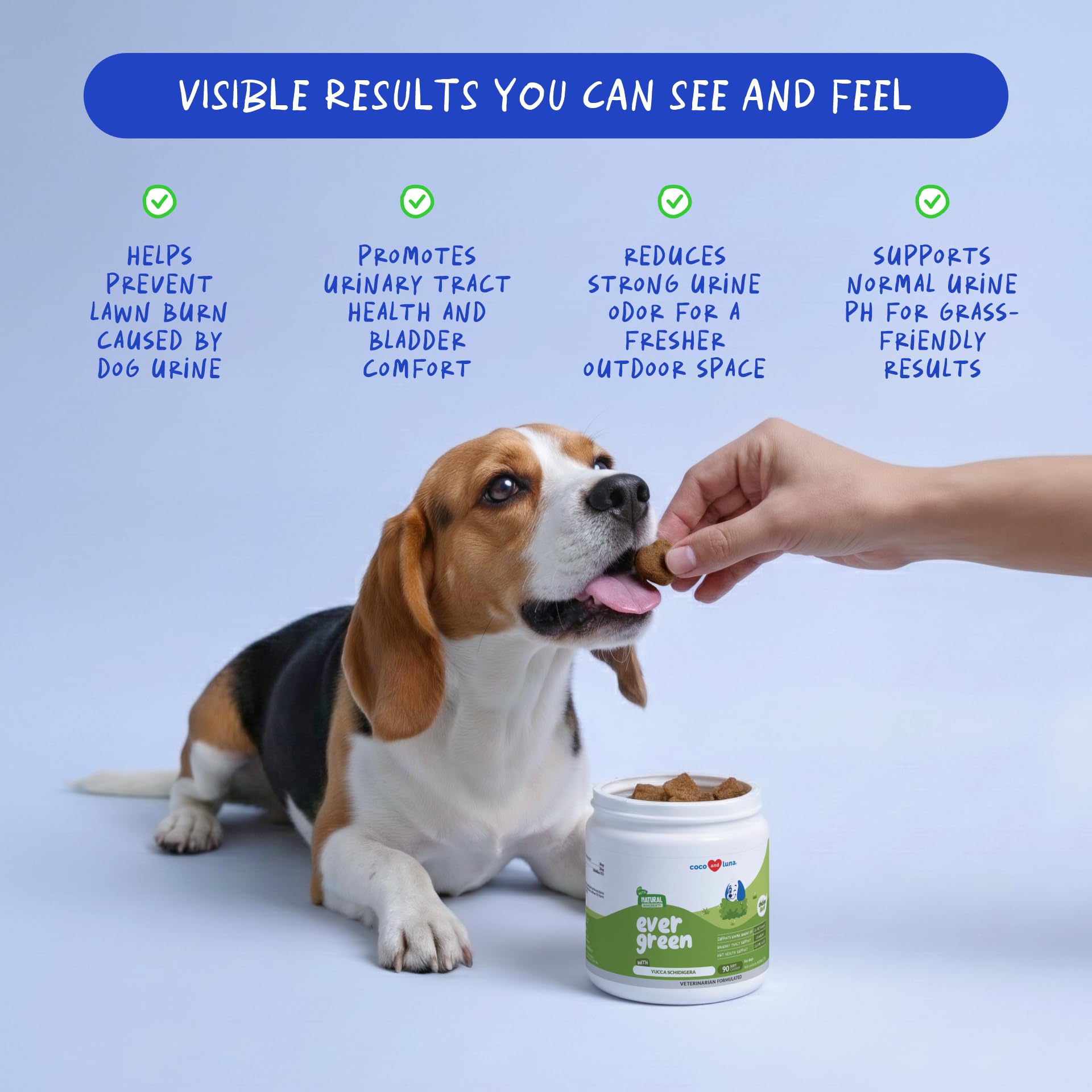 Coco and Luna Grass Burn Spot Soft Chews packaging box, convenient for daily dosing.