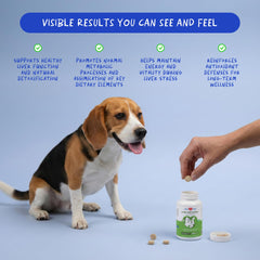 Coco and Luna Milk Thistle dog chew-tablets ready for easy daily administration.