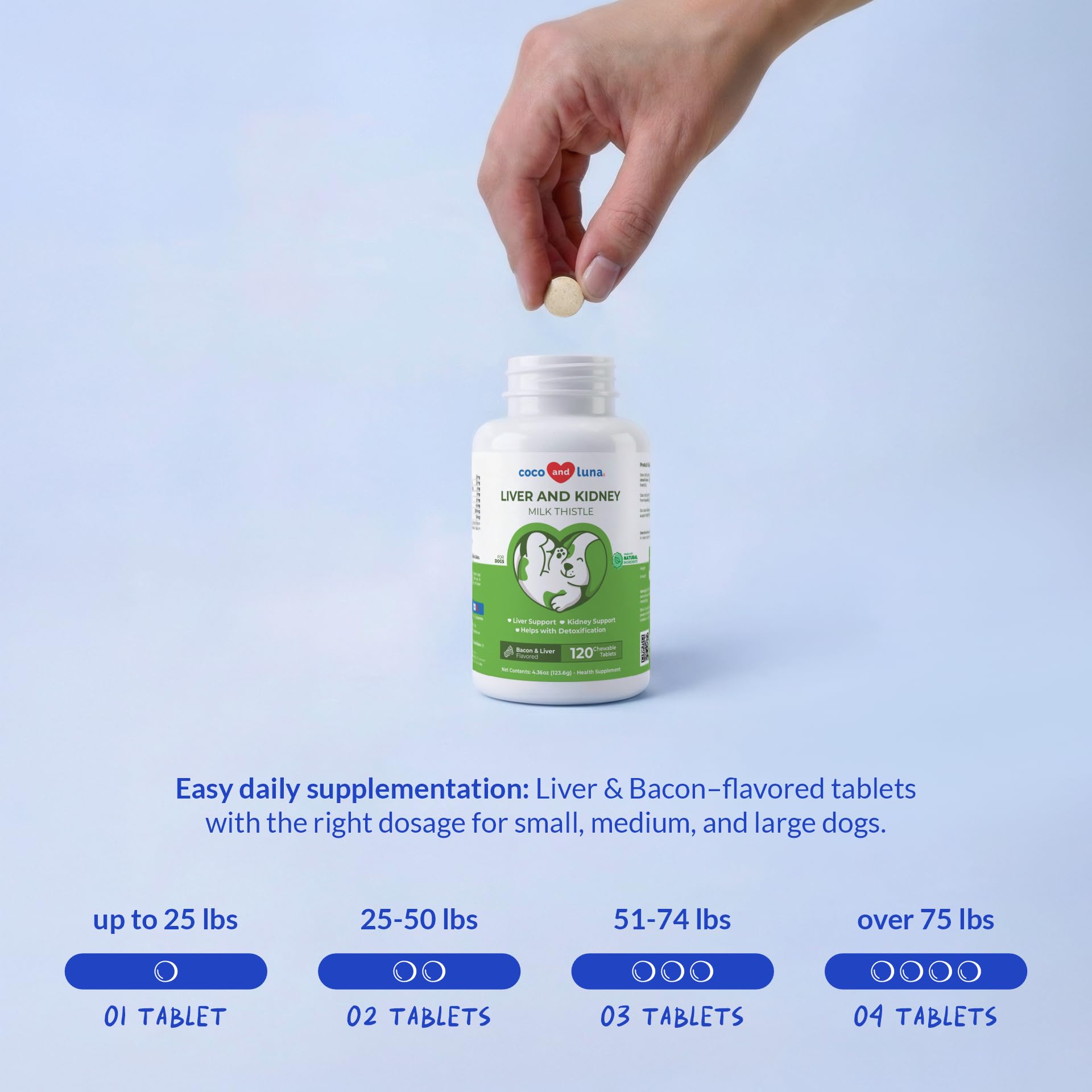 Coco and Luna Milk Thistle dog-dose spoon image demonstrates convenient dosing.