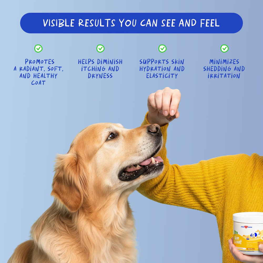 Coco and Luna Omega3 dog coat shine promoting healthy fur.