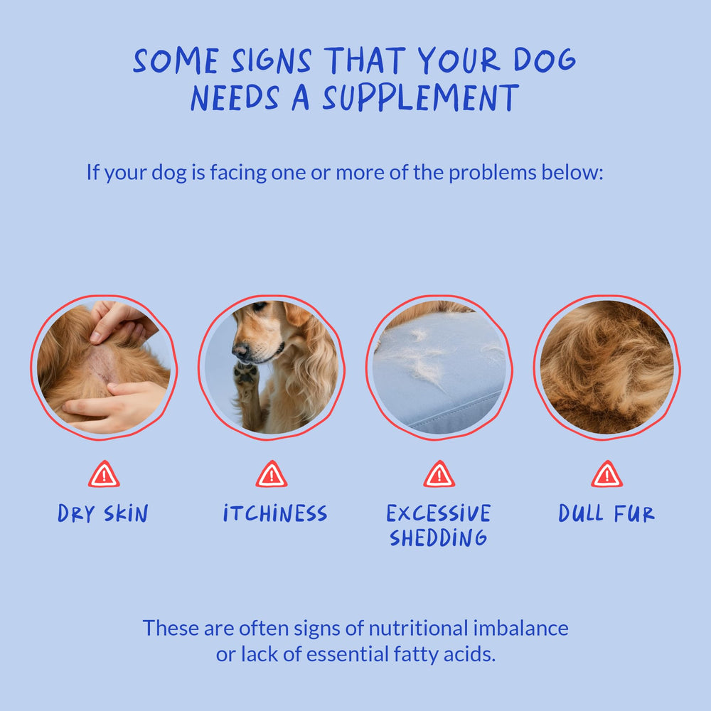 Coco and Luna immune support features for daily resilience in dogs.