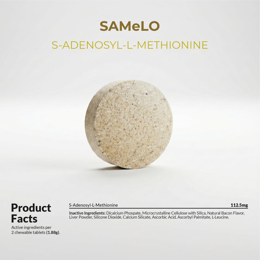 US-made, veterinarian-approved branding highlighted on packaging.