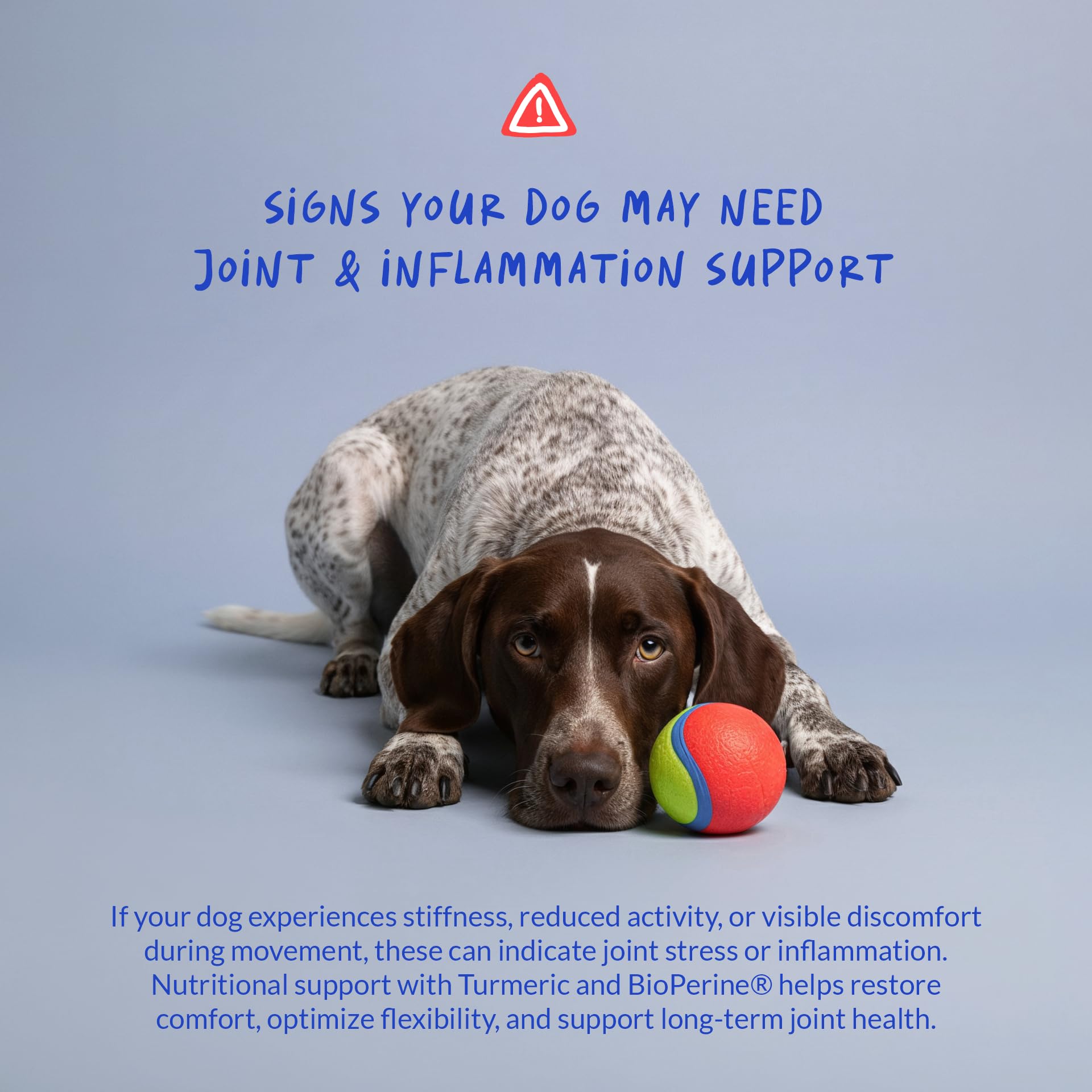 Coco and Luna turmeric dogs bottle pour illustrates convenient chewable daily dose.