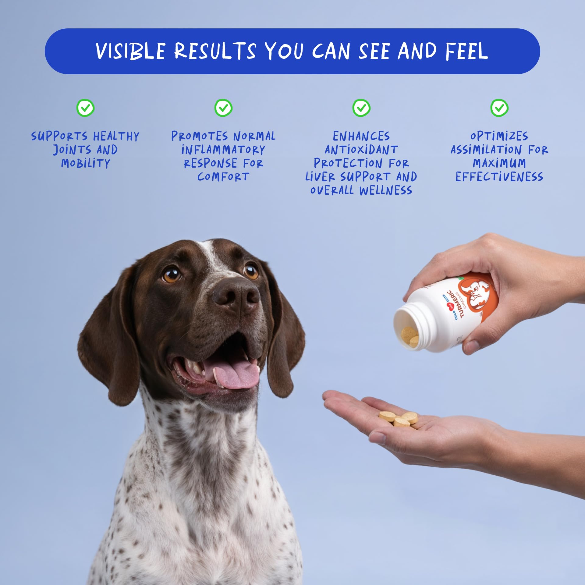 Coco and Luna turmeric dogs tablets closeup emphasizes antioxidant curcumin benefits.