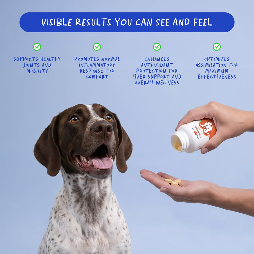 Coco and Luna turmeric dogs tablets closeup emphasizes antioxidant curcumin benefits.