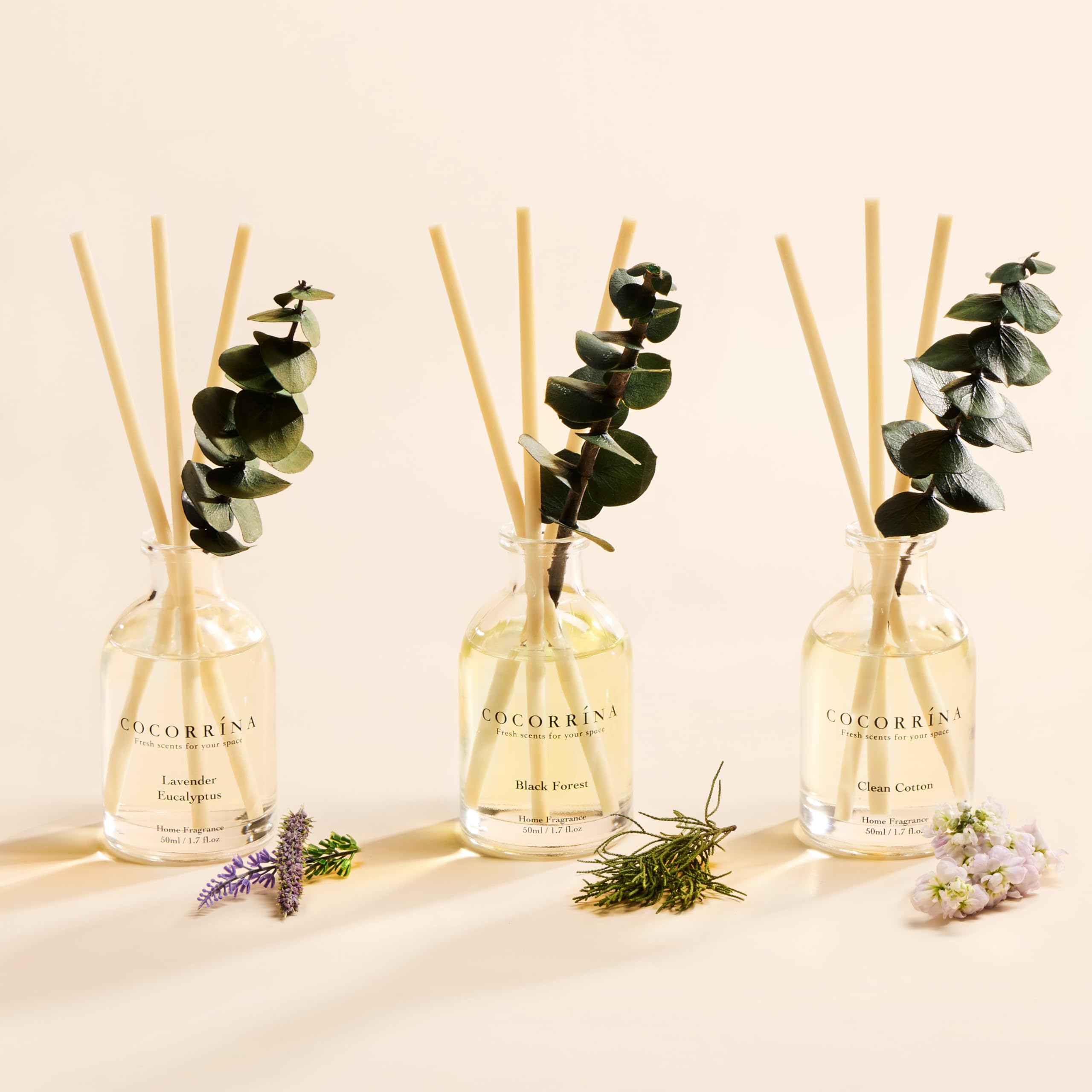 COCORRÍNA Black Forest diffuser bottle adds woodland depth to your office.