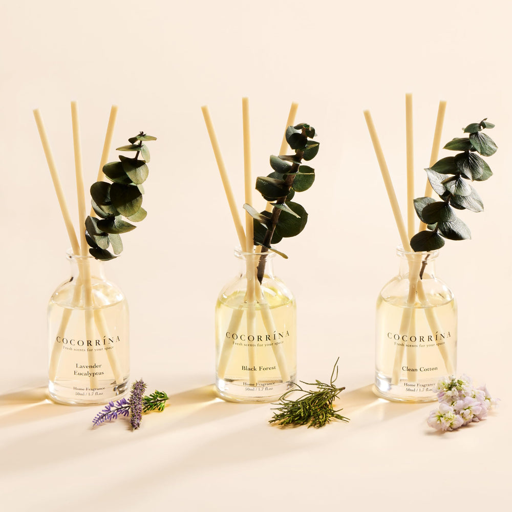 COCORRÍNA Black Forest diffuser bottle adds woodland depth to your office.