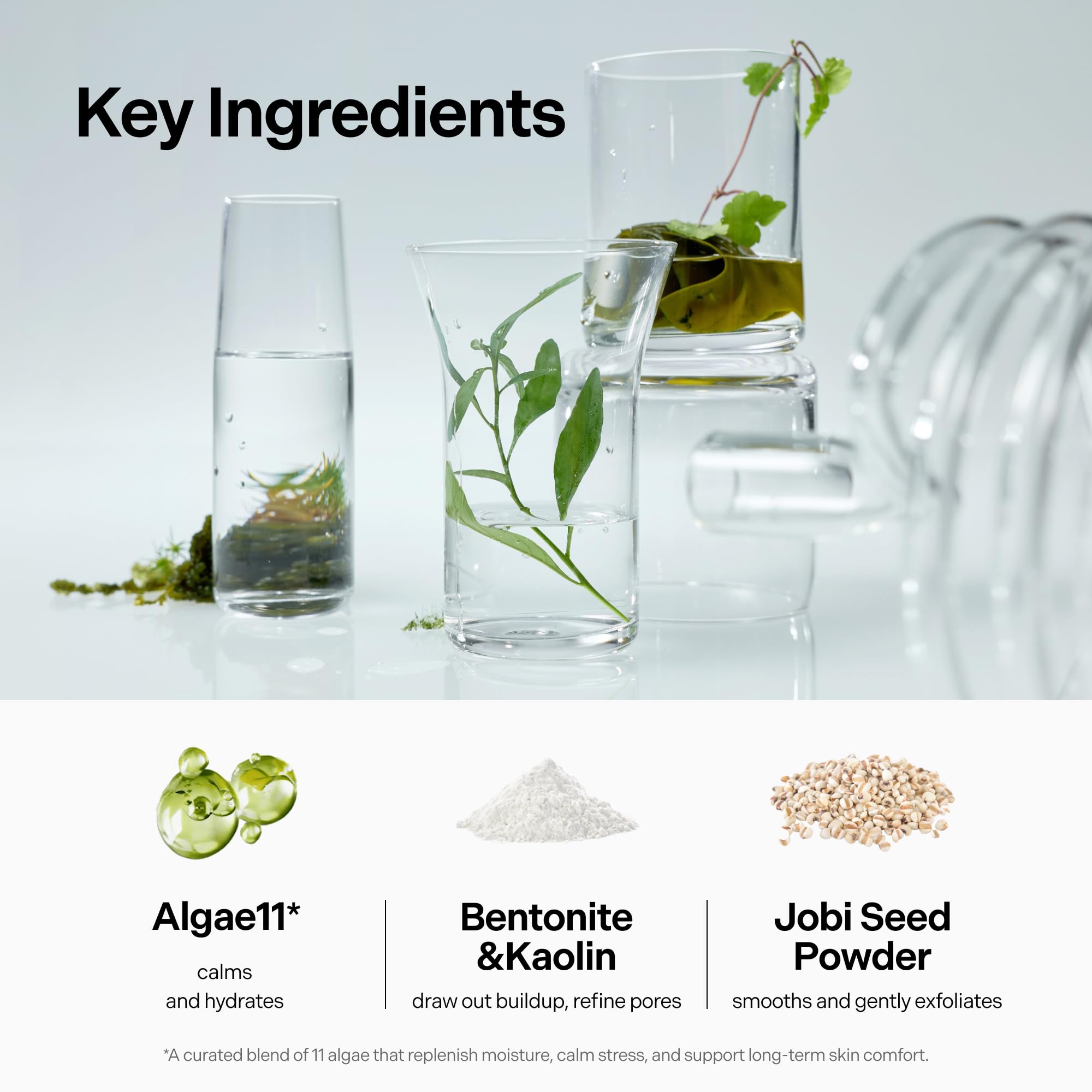 Coeternal Seaweed Detox Wash Off Mask clay closeup highlights Bentonite and Kaolin for oil control.
