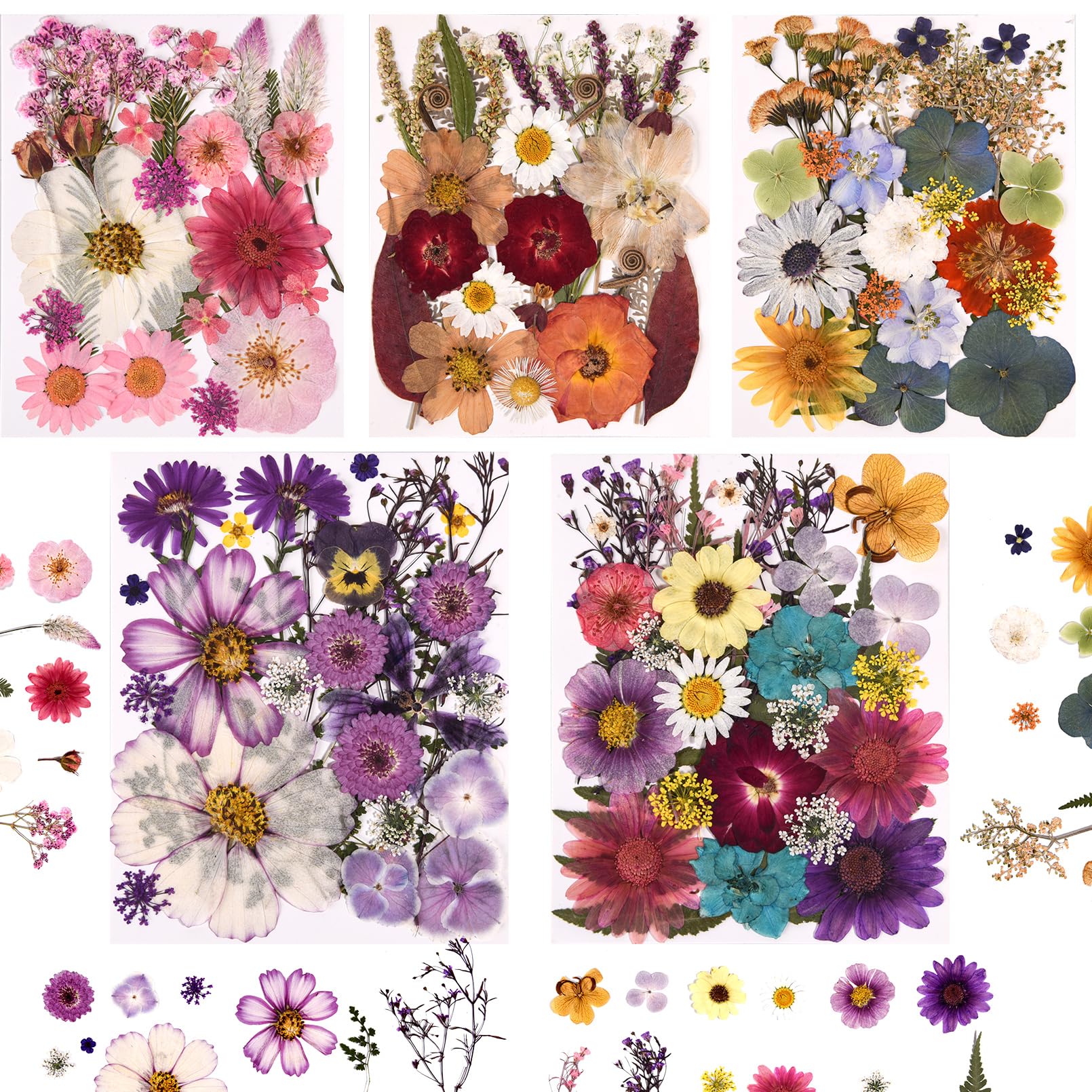 Cokosing 5 packs pressed dried flowers for resin art and DIY projects