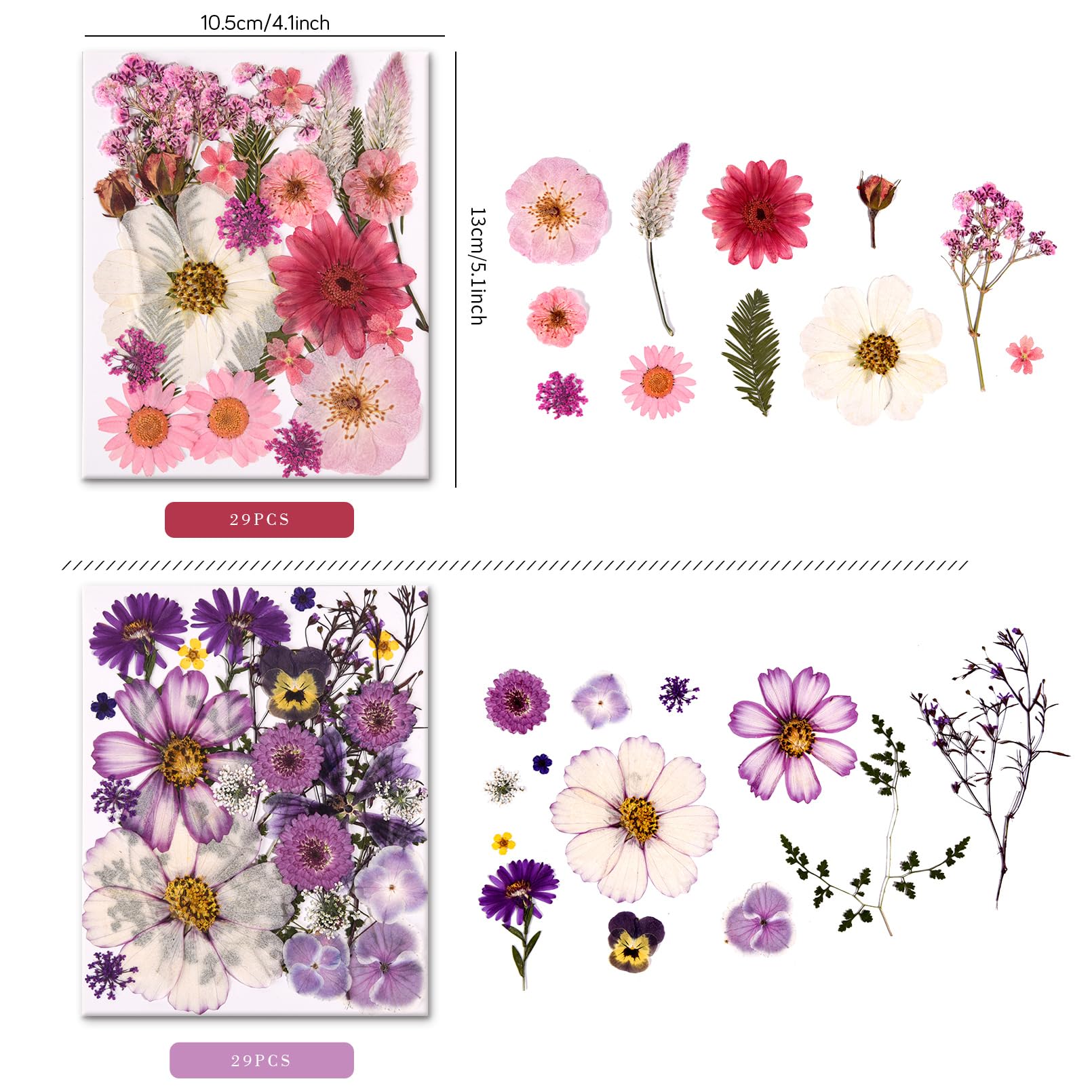 Cokosing dried flowers ideal for resin art, jewelry, and crafts