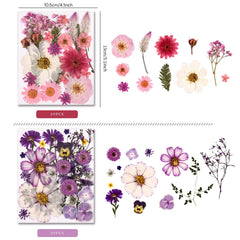 Cokosing dried flowers ideal for resin art, jewelry, and crafts