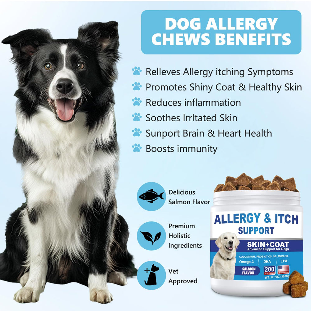 Coleaze Dog Allergy Chews closeup shows palatable daily skin support.