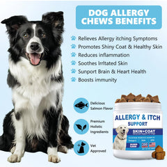 Coleaze Dog Allergy Chews closeup shows palatable daily skin support.