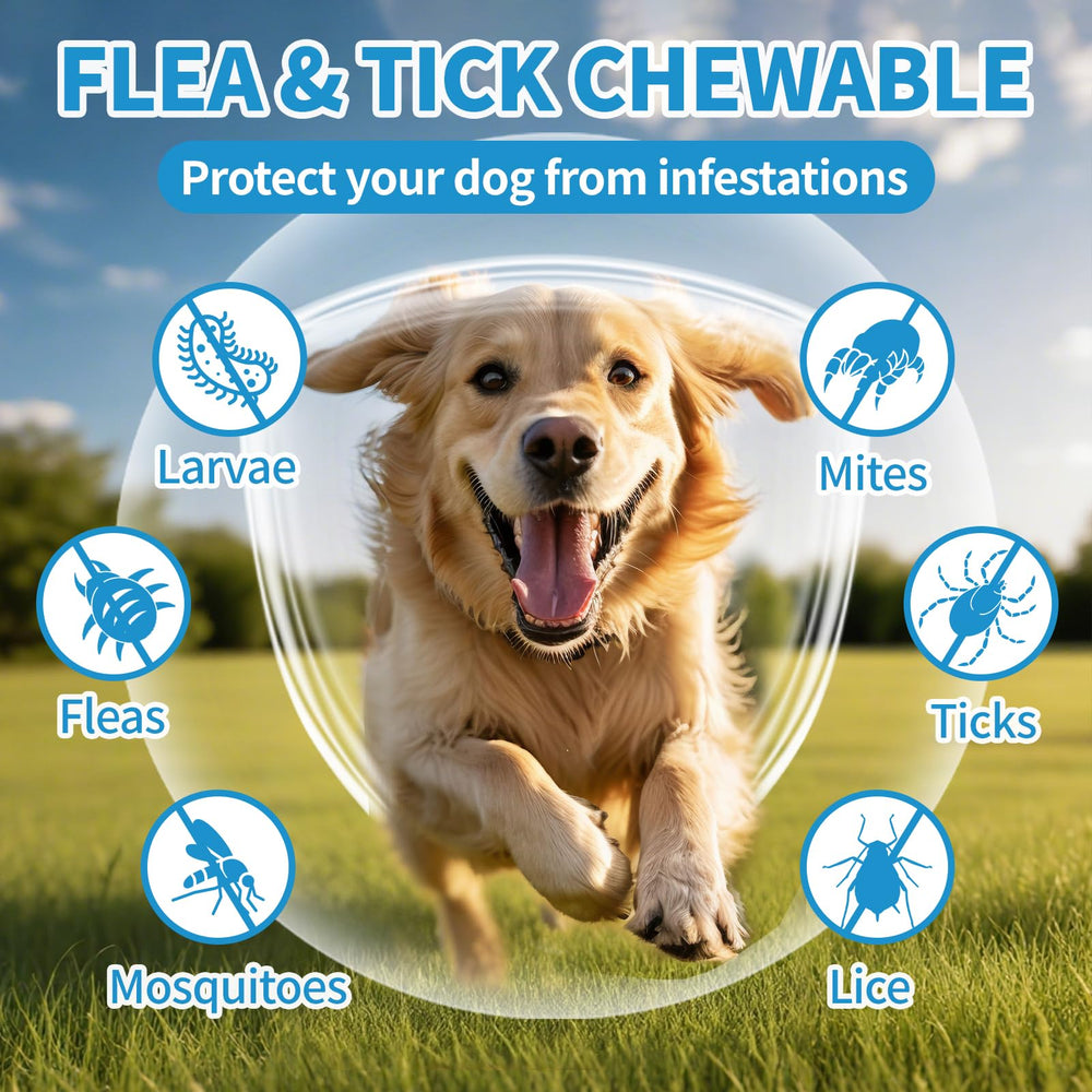 ColEaze flea and tick chews close-up showing soft, tasty texture.