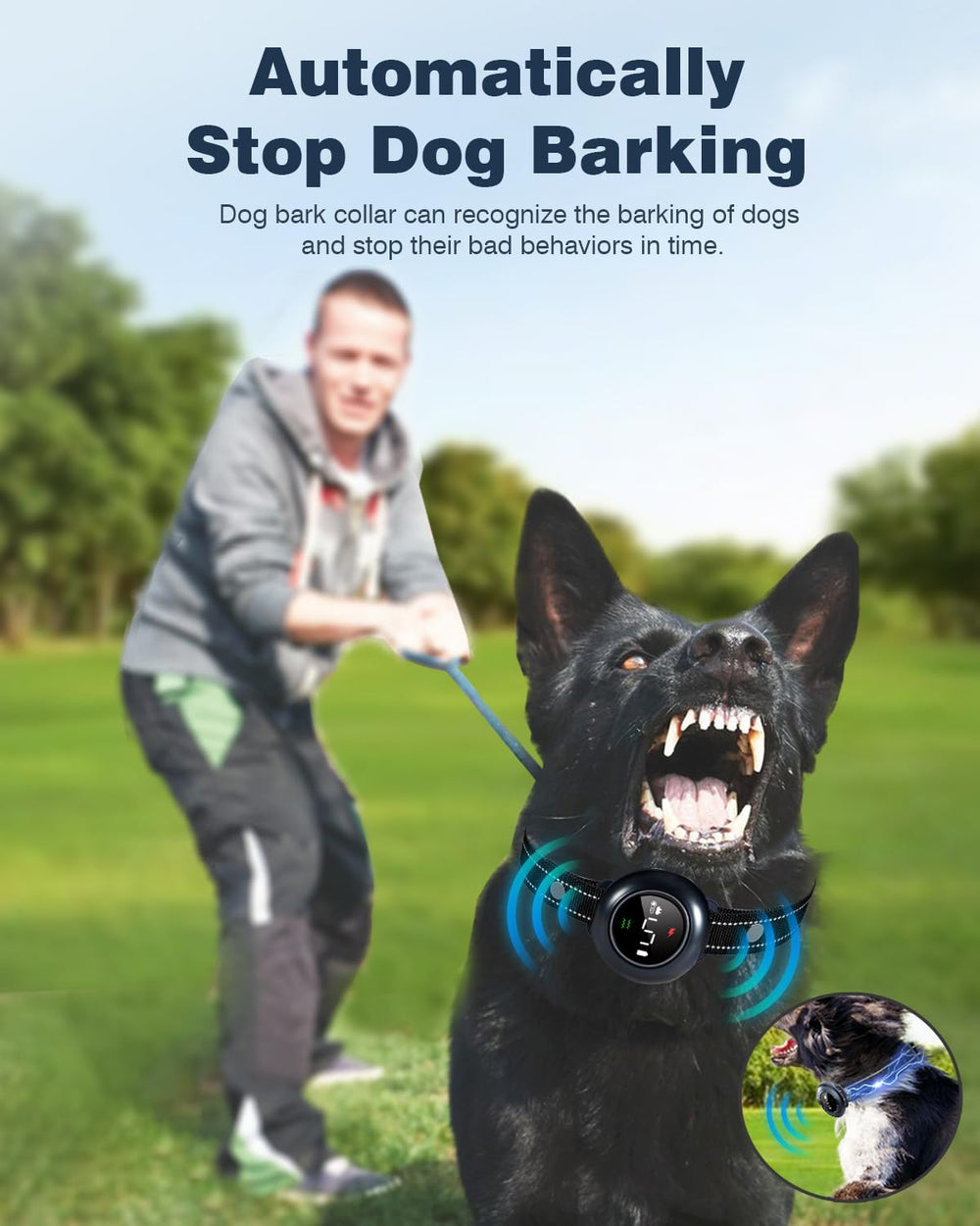 Colofrog 3 modes dog training image shows indoor or outdoor options.