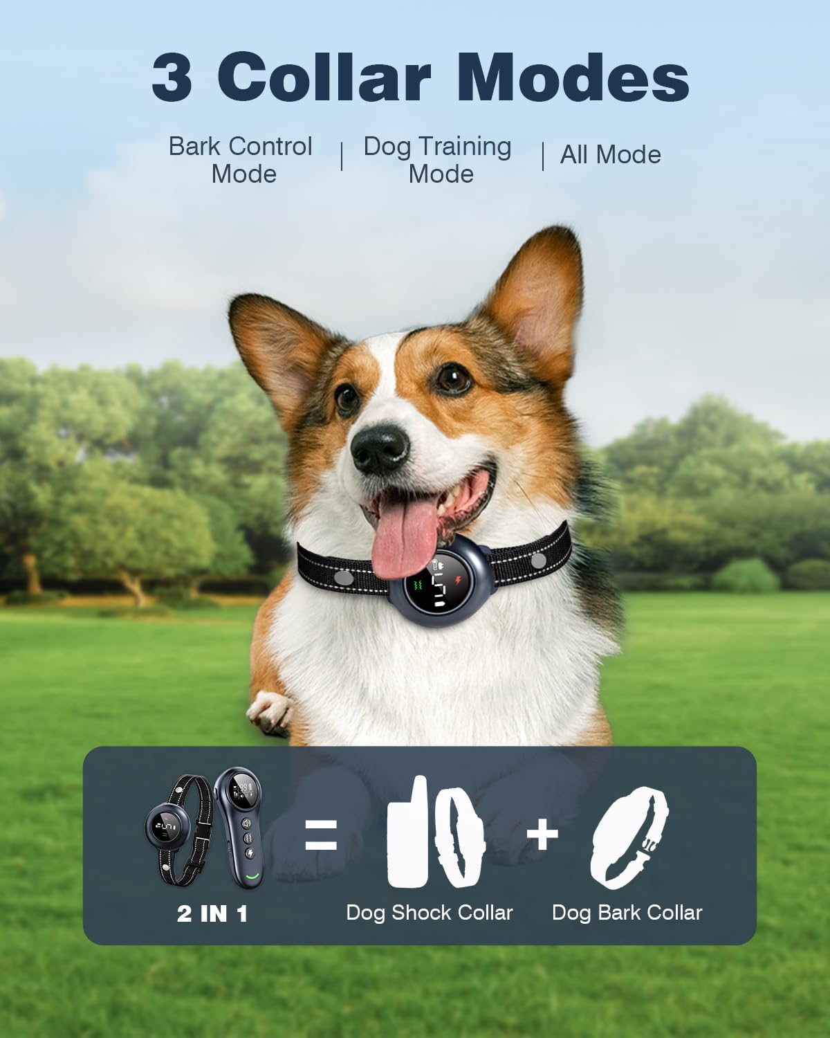 Colofrog remote training system image highlights outdoor control at a distance.