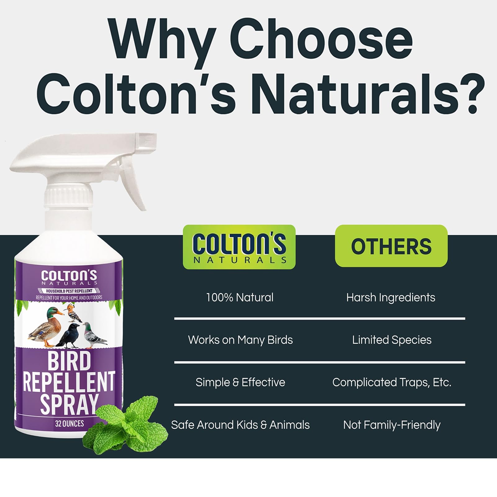 Colton's Naturals deterrent on decks and patios reduces bird perching naturally.