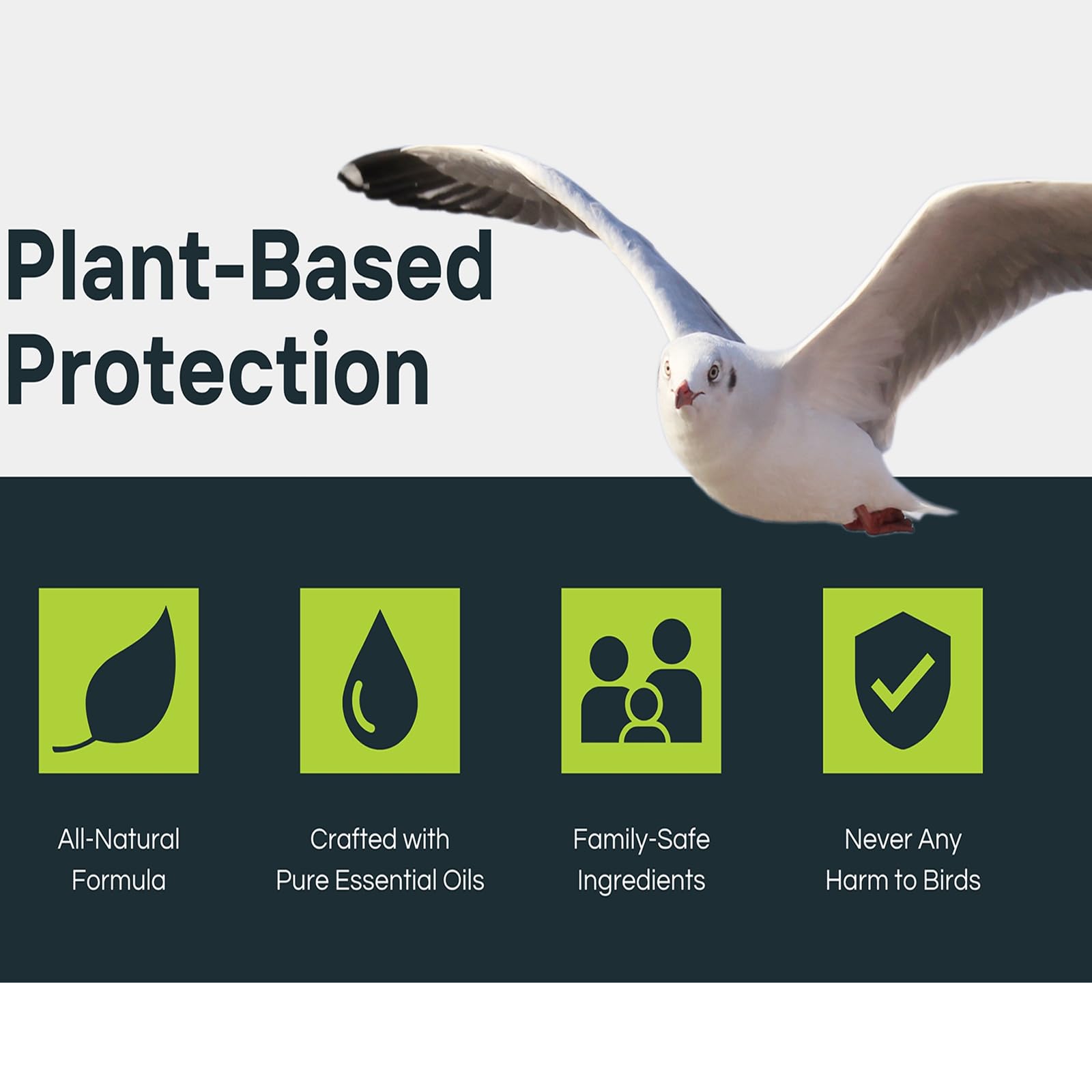 Colton's Naturals deters pigeons and seagulls around outdoor areas naturally.