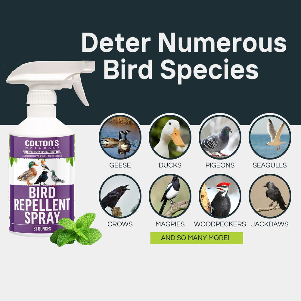 Colton's Naturals spray applied to siding for bird-free surfaces.