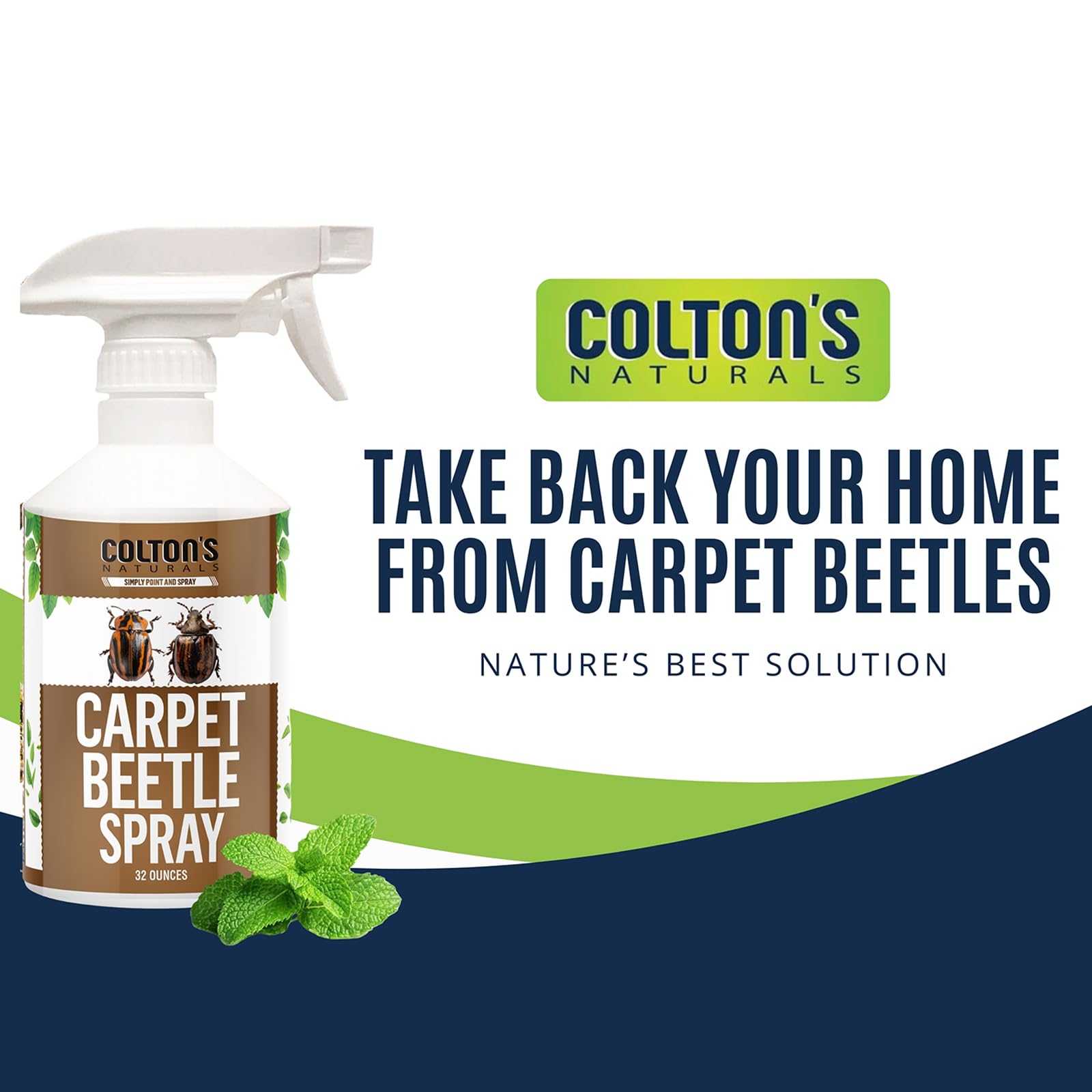 Colton's Naturals carpet beetle spray being applied to carpet to target eggs and larvae.