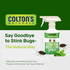 Colton's Naturals spray by windows and doors to deter stink bugs.