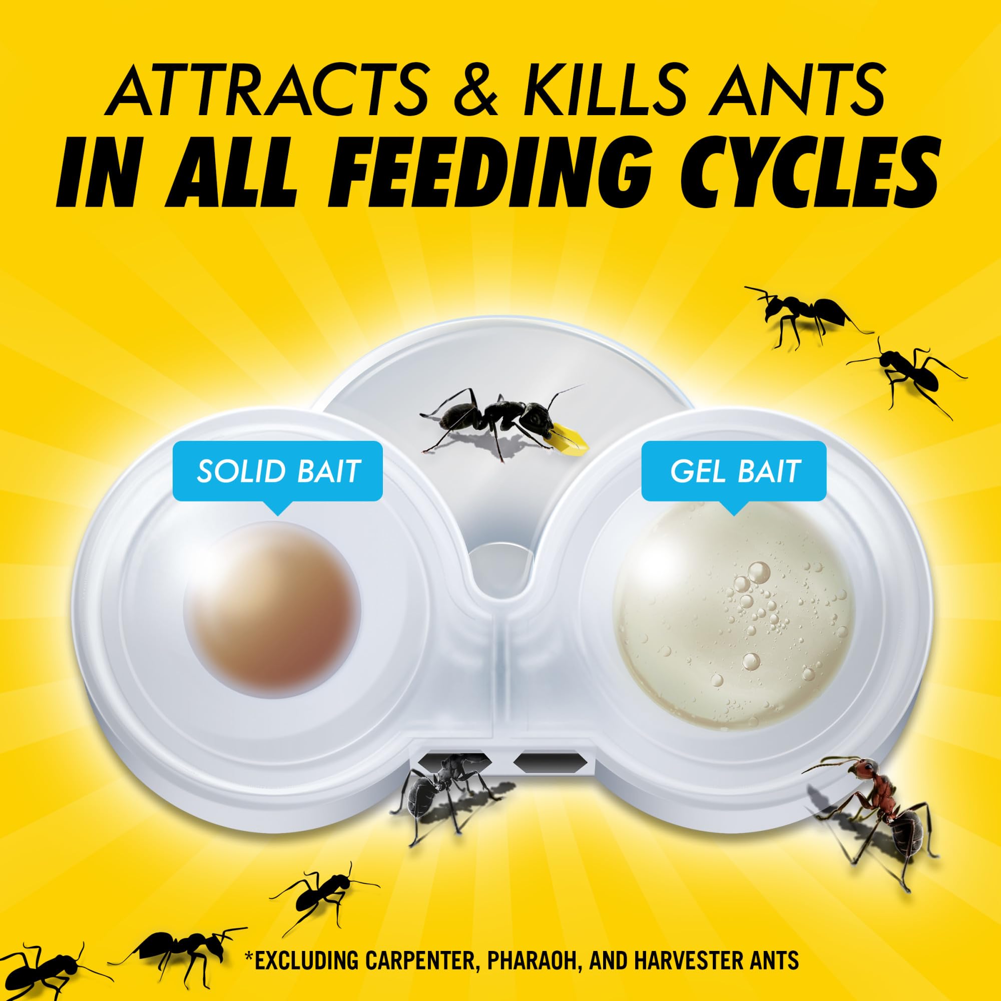 Combat Max 2in1 ant bait station snap-off tab shows quick, tidy bait setup.