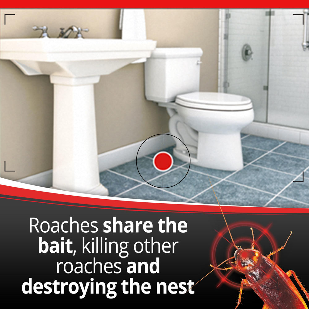 Pantry placement of Combat Max Defense System bait stations to curb roach activity.