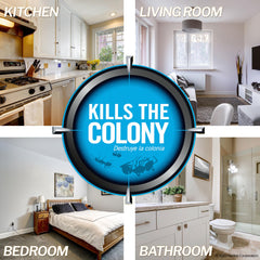 Indoor outdoor use application demonstrates versatile placement options.