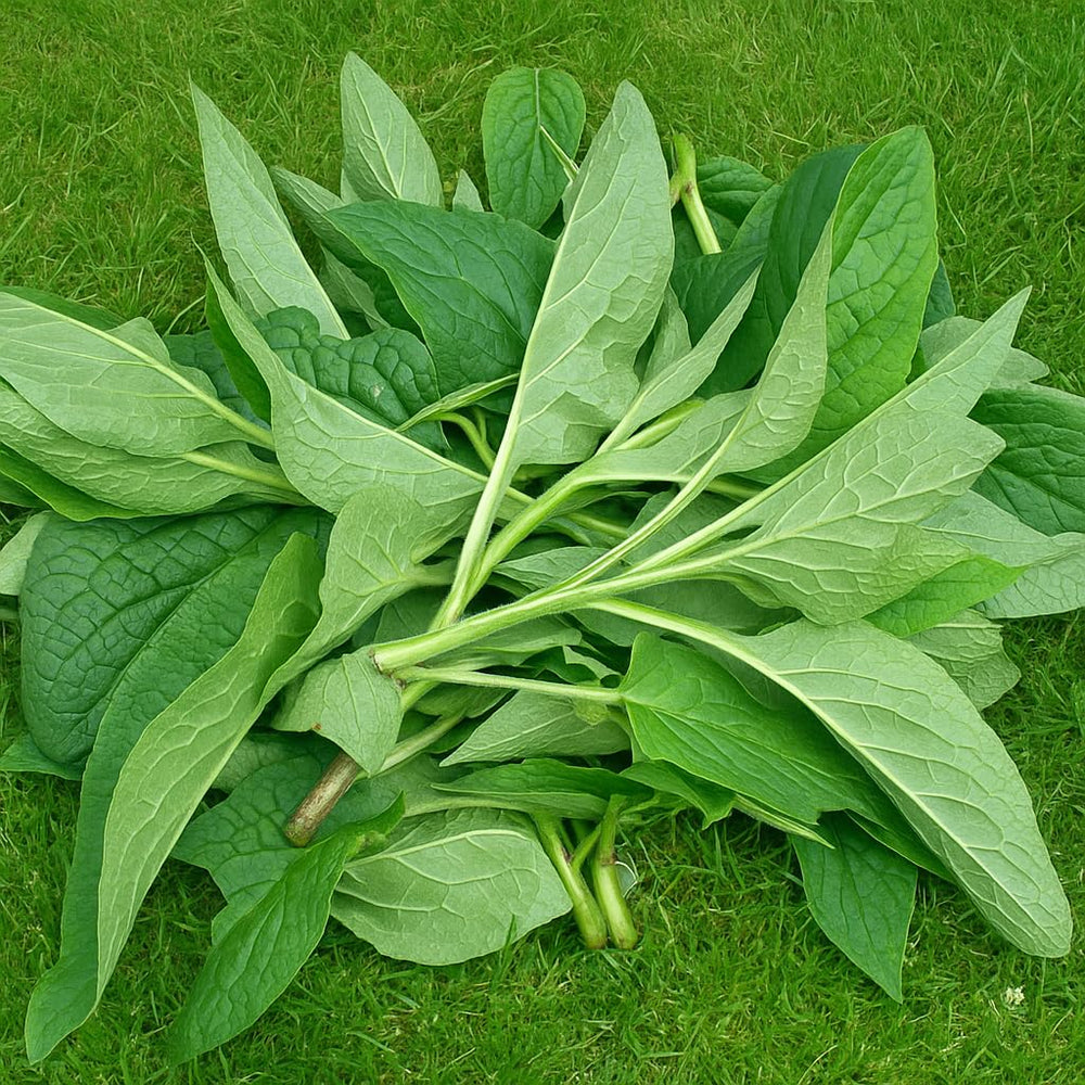 Small-batch, family-made packaging from WV emphasizing freshness.