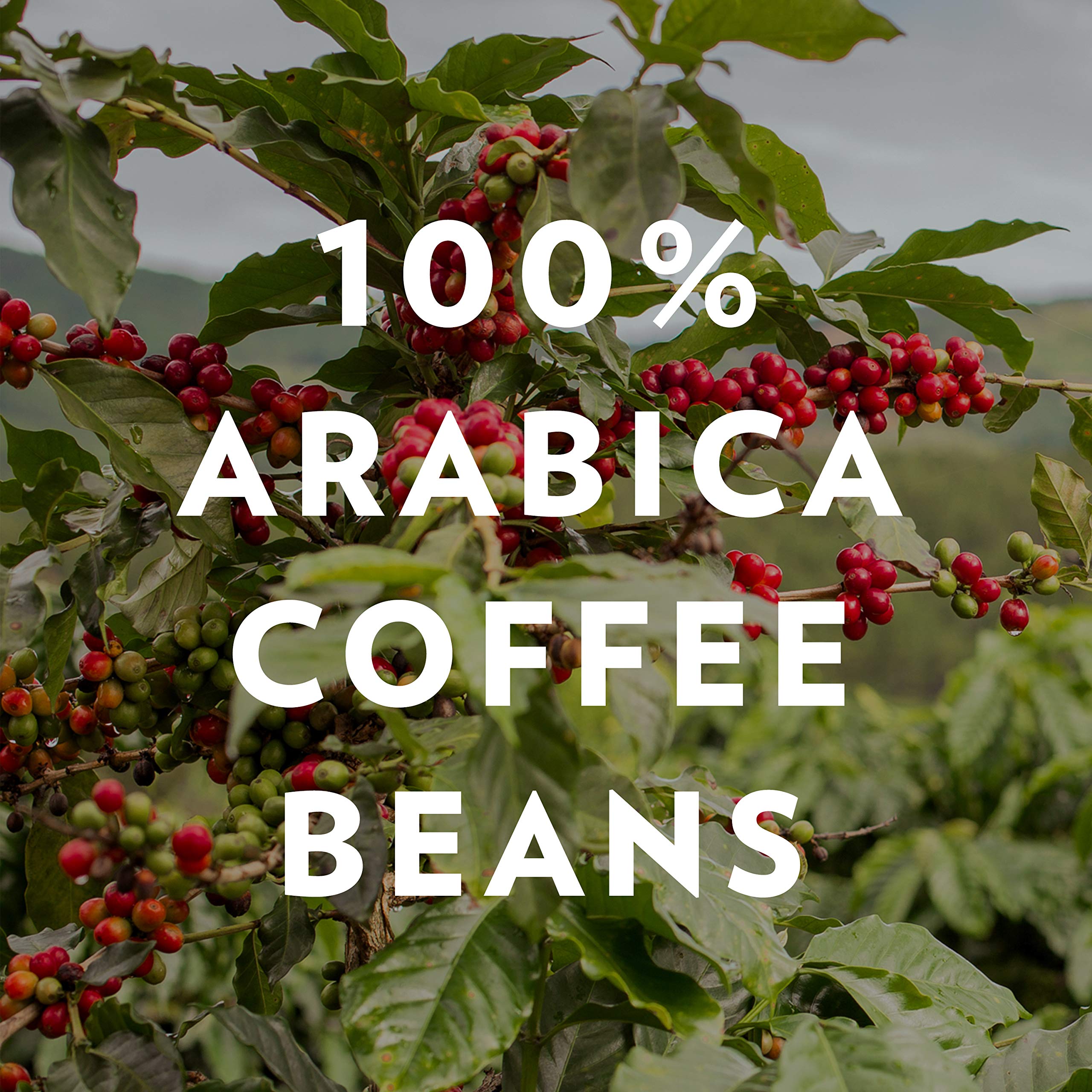 Community Coffee Cafe Special two-bag pack suitable for home or office use